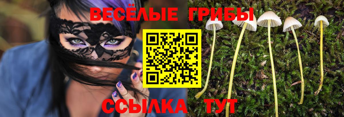 Галлюциногенные грибы GOLDEN TEACHER Пугачёв